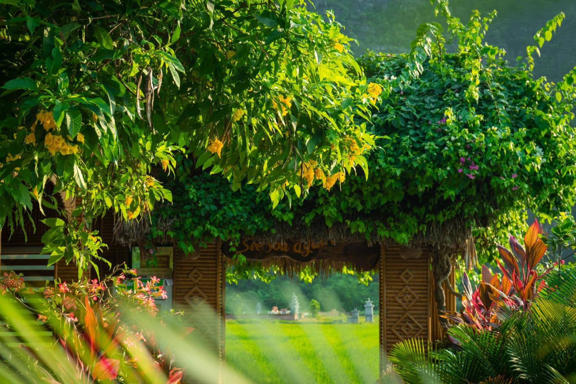 Tam Coc Minh Hung Homestay Ninh Binh Luaran gambar