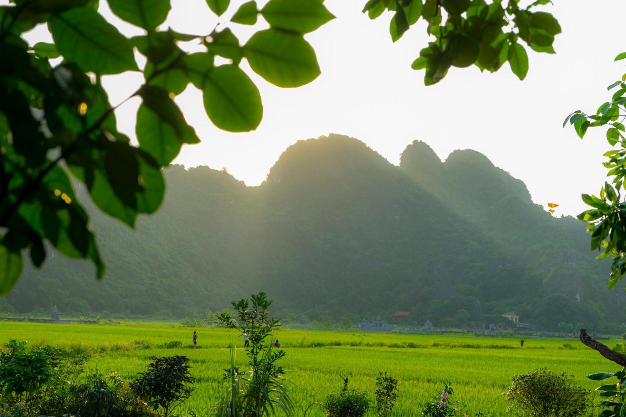 Tam Coc Minh Hung Homestay Ninh Binh Luaran gambar