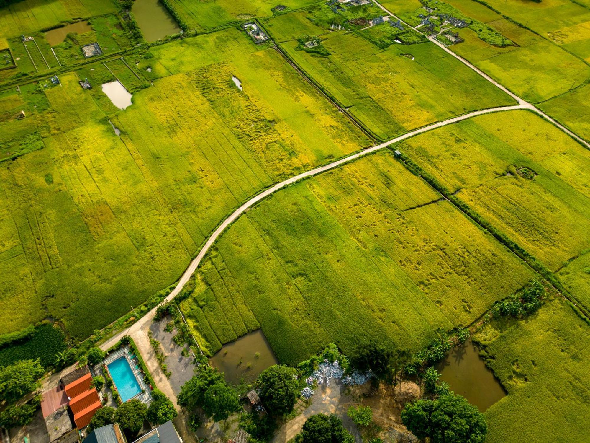 Tam Coc Minh Hung Homestay Ninh Binh Luaran gambar